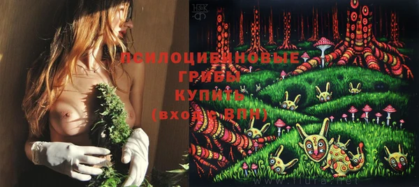 герыч Верхний Тагил
